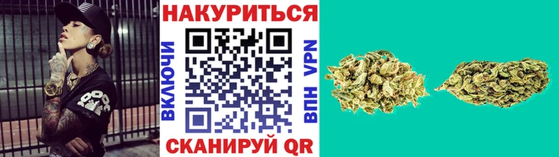 Конопля план Баксан